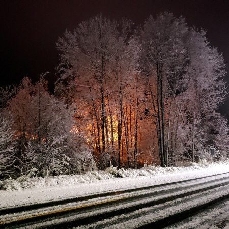 A night scene showing a snow covered road and tall deciduous trees covered in snow with an orange glowing light source behind them